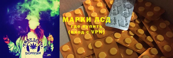 дживик Аркадак