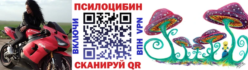 Купить где  Стародуб  Галлюциногенные грибы Cubensis 